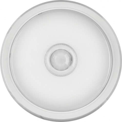 Светильник с датчиком движения ОНЛАЙТ OBL-R1 10Вт IP40 LED SNR холодный свет